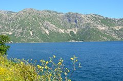 montenegro3139