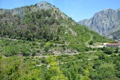 montenegro3150