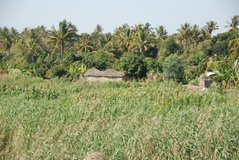 mozambique1043