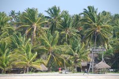 mozambique2019