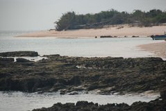 mozambique3019