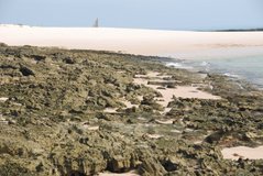 mozambique3025