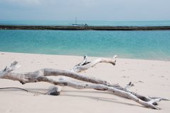 mozambique3026