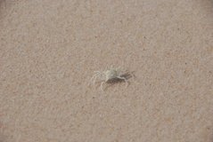 mozambique3035