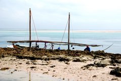 mozambique3036