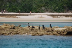 mozambique3038