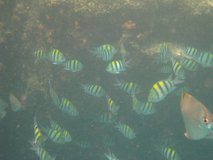 mozambique3044