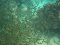 mozambique3048