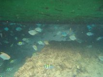 mozambique3073