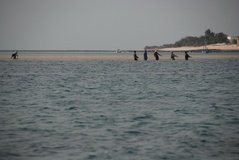 mozambique3077
