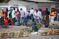 mozambique3095
