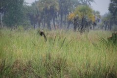 mozambique3510