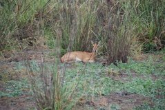 mozambique3512