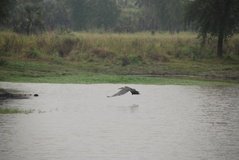 mozambique3513