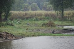 mozambique3514