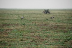 mozambique3516