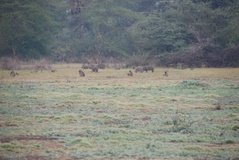 mozambique3518