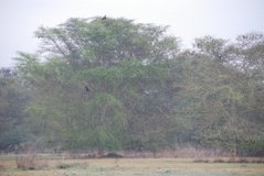 mozambique3519