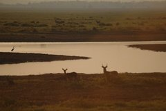 mozambique3556