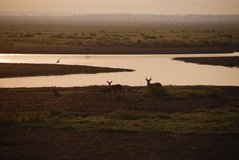 mozambique3557