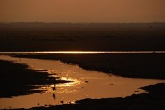 mozambique3558