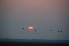 mozambique3563