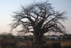 mozambique4133