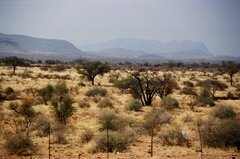 namibie1010