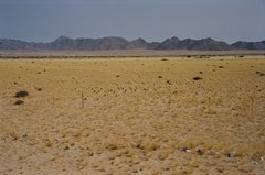 namibie1019