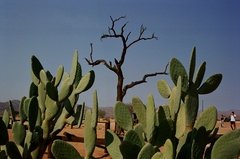 namibie1021