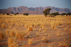 namibie1023