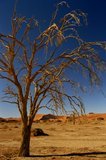 namibie1053