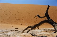 namibie1064