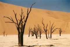 namibie1065