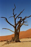 namibie1066
