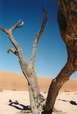 namibie1069