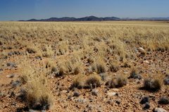 namibie1084