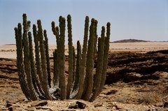 namibie1088