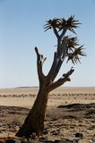 namibie1092