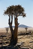 namibie1093