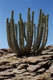 namibie1094