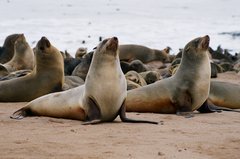 namibie1114