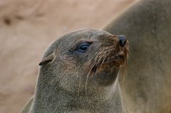 namibie1115