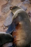 namibie1123