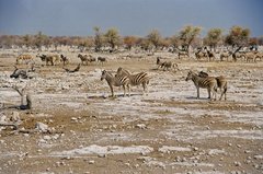 namibie1136