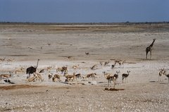 namibie1137