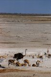 namibie1140