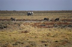 namibie1142