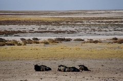 namibie1143