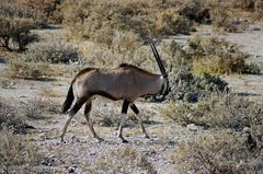 namibie1144
